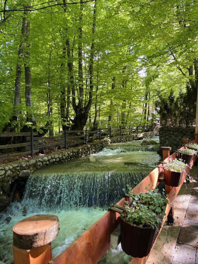 De La Villa Brezovice Bagian luar foto