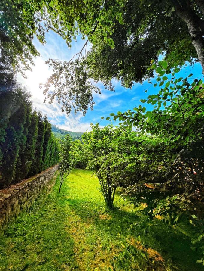 De La Villa Brezovice Bagian luar foto